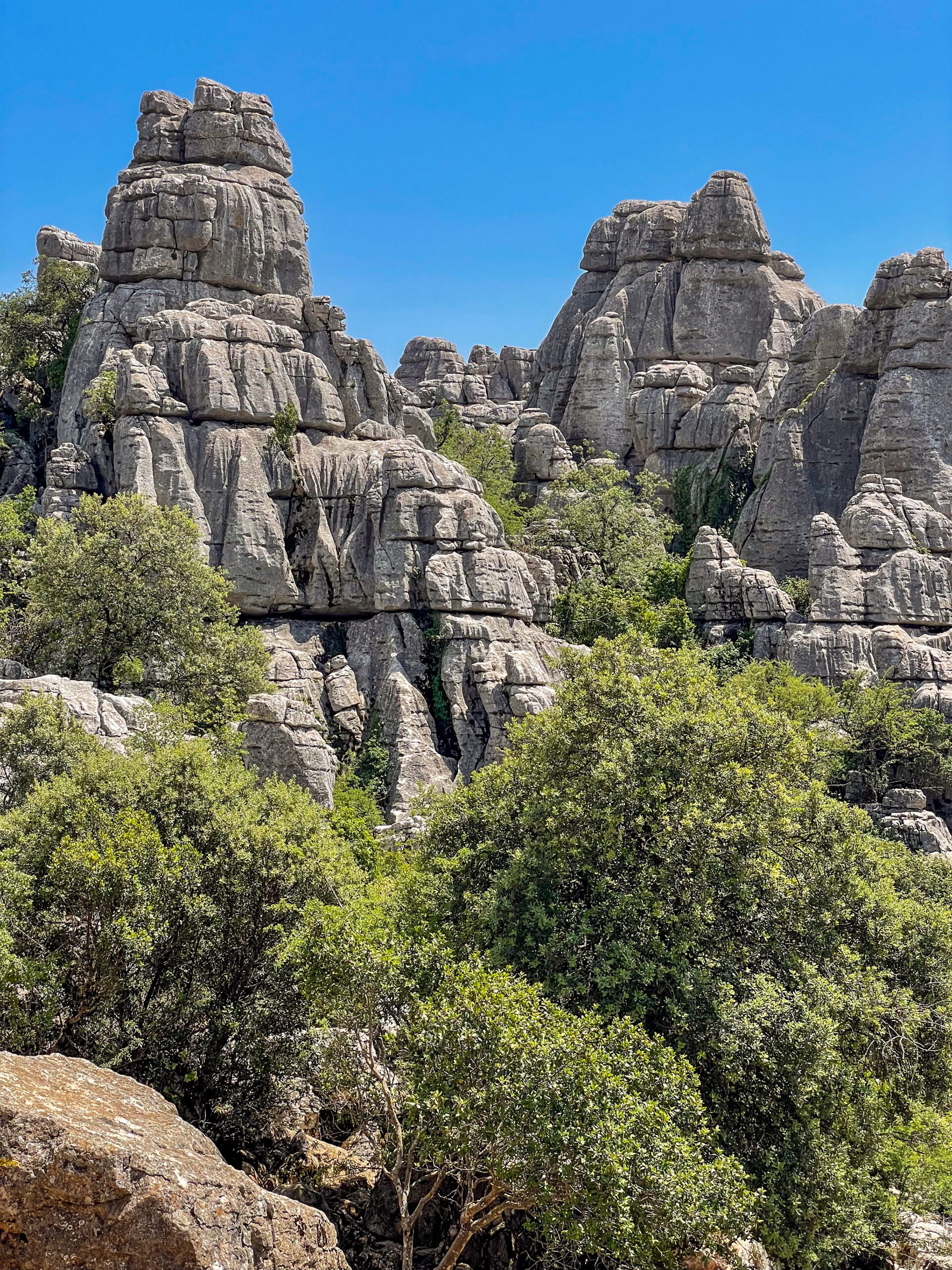 De leukste dagtrips vanuit Malaga: eropuit tijdens je citytrip in Zuid-Spanje