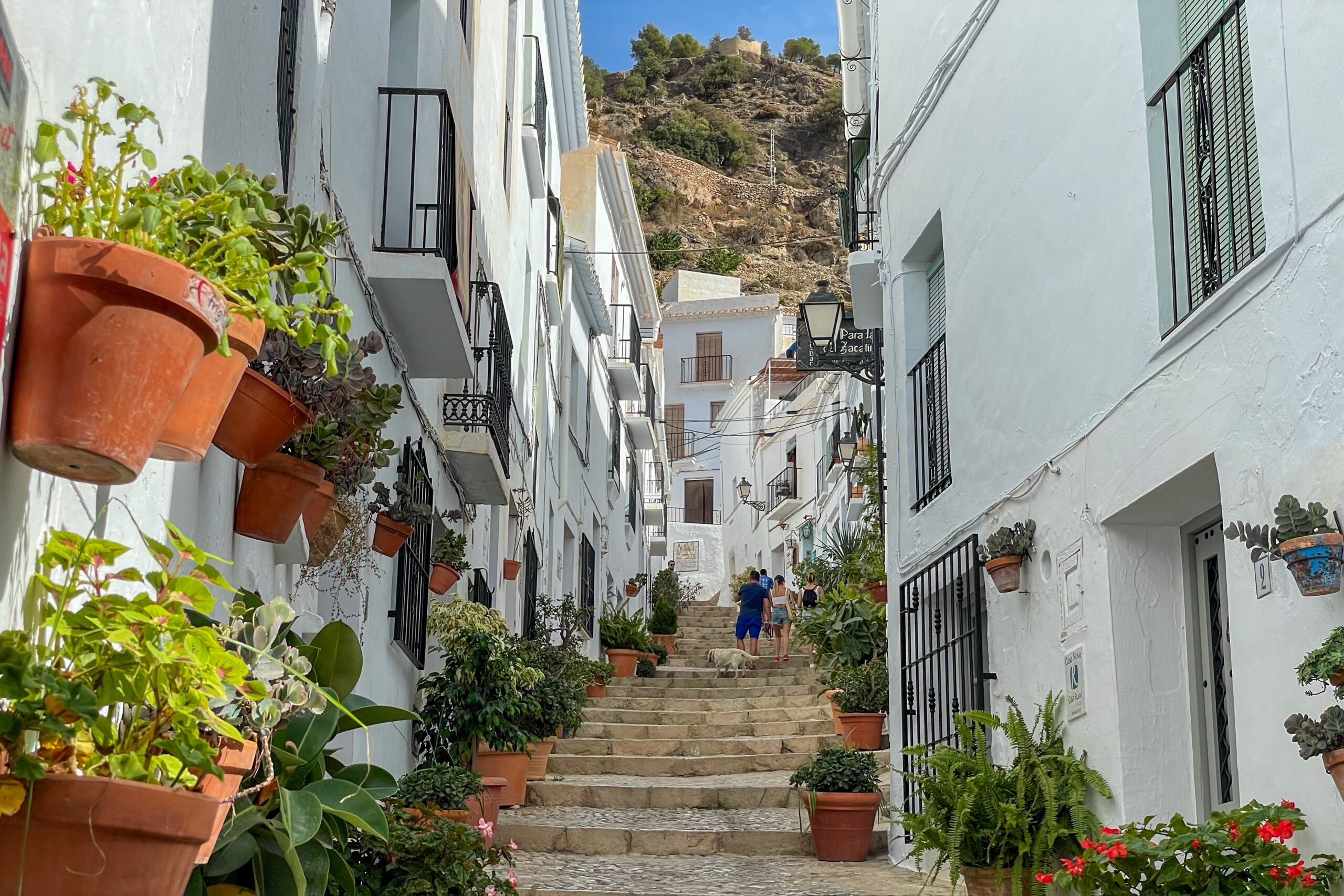 De leukste dagtrips vanuit Malaga: eropuit tijdens je citytrip in Zuid-Spanje